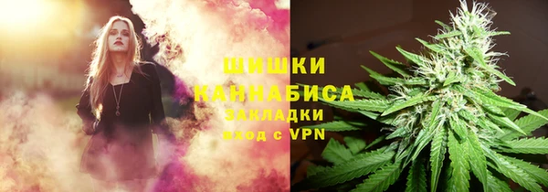 мдпв Кинешма