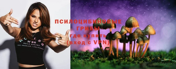 мдпв Кинешма