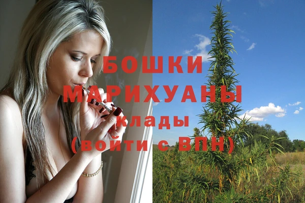 мдпв Кинешма
