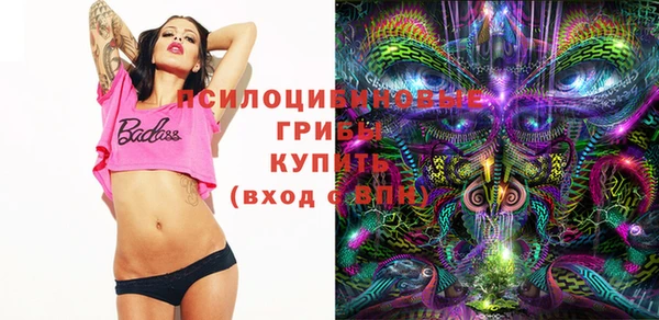 мдпв Кинешма