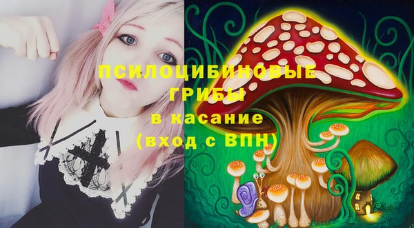 мдпв Кинешма