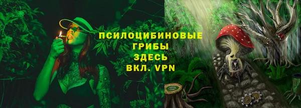 мдпв Кинешма