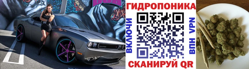 Купить закладки  Ишимбай  Каннабис White Widow 
